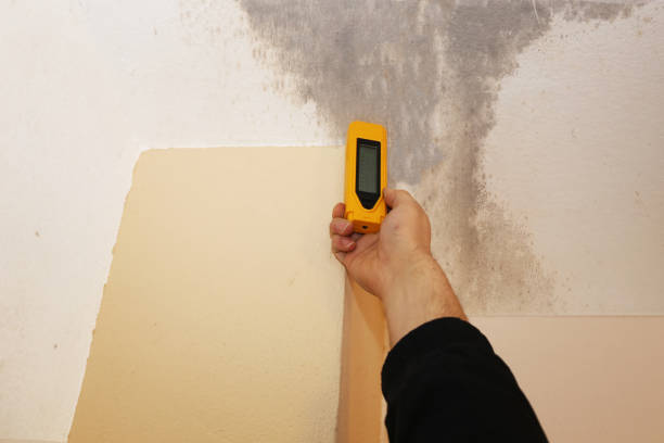 Best Real Estate Mold Inspection  in Saxon, SC