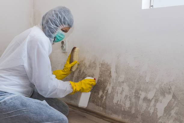 Best Biohazard Mold Removal  in Saxon, SC