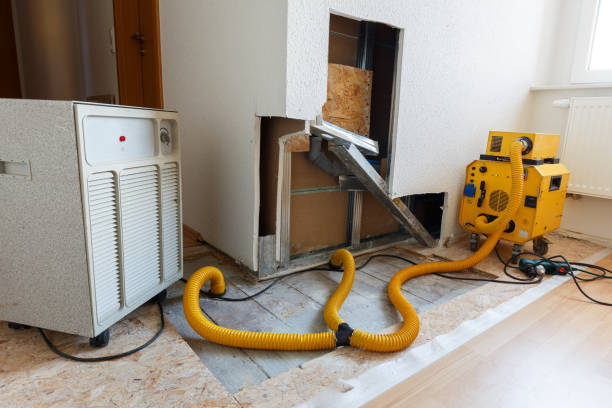 Forensic Mold Investigation in Saxon, SC
