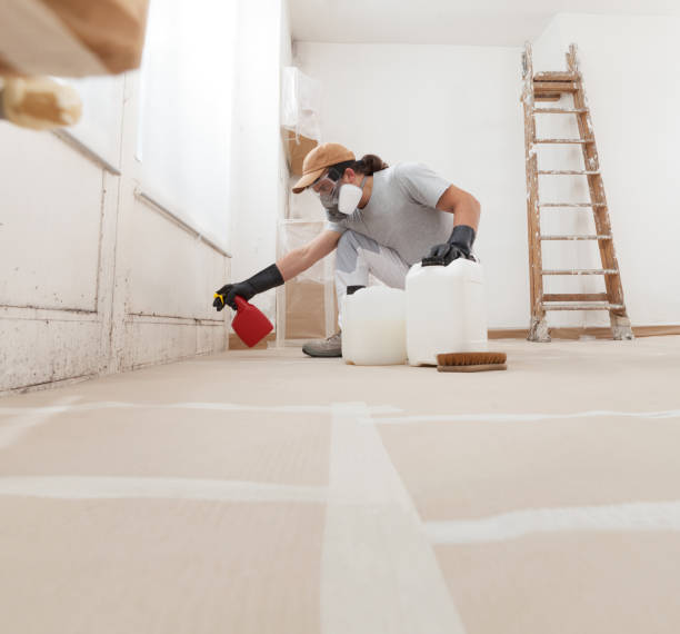 Professional Mold Removal in Saxon, SC